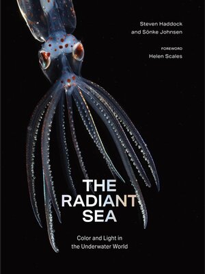cover image of The Radiant Sea